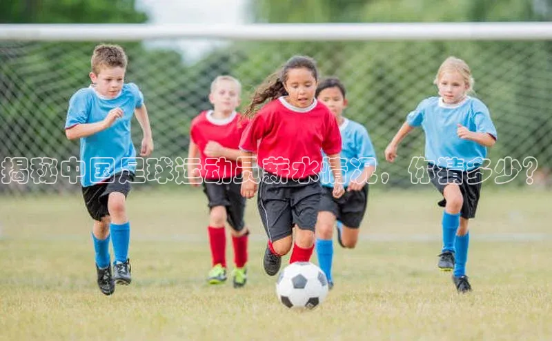 门徒平台注册登录天键股份揭秘中国足球运动员薪水情况，你猜多少？