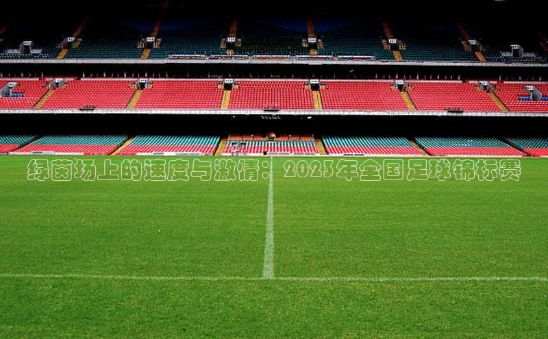 门徒娱乐平台登录入口京东绿茵场上的速度与激情：2023年全国足球锦标赛