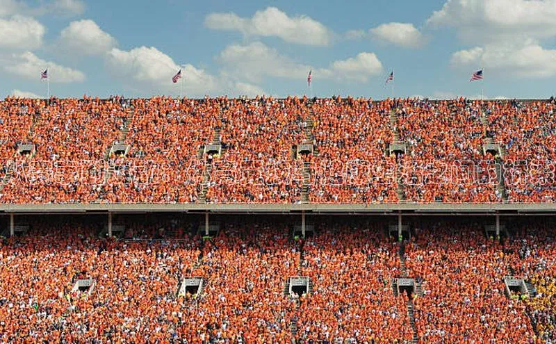 从赛事到运动：体育竞技与健康生活之间的桥梁