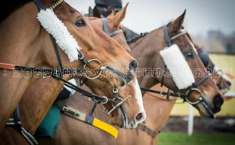 ：源自古罗马的赛车文化：汽车运动赛事的历史根源
