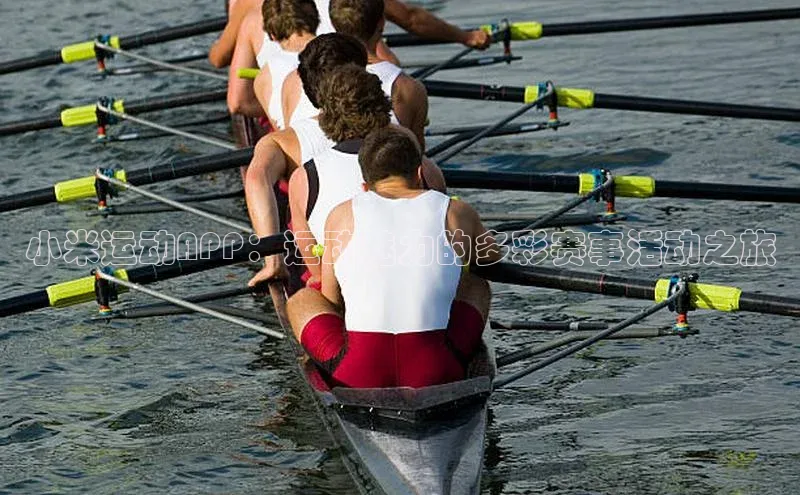 小米运动APP：运动魅力的多彩赛事活动之旅