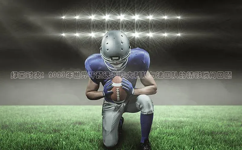 绿茵对决：2023年世界杯预选赛意大利队与法国队的精彩瞬间回顾