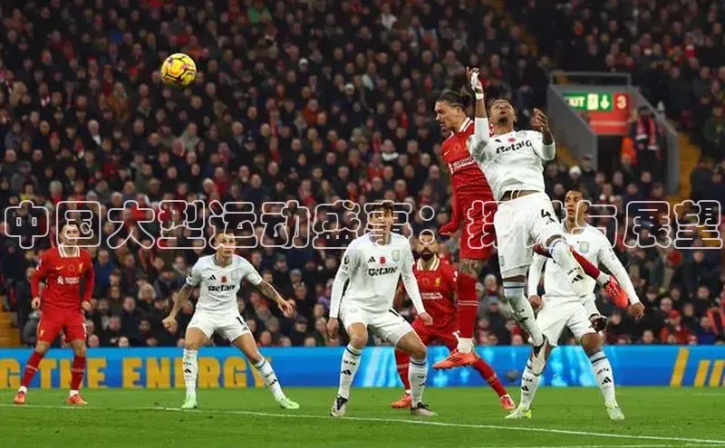 中国大型运动盛事：探讨与展望